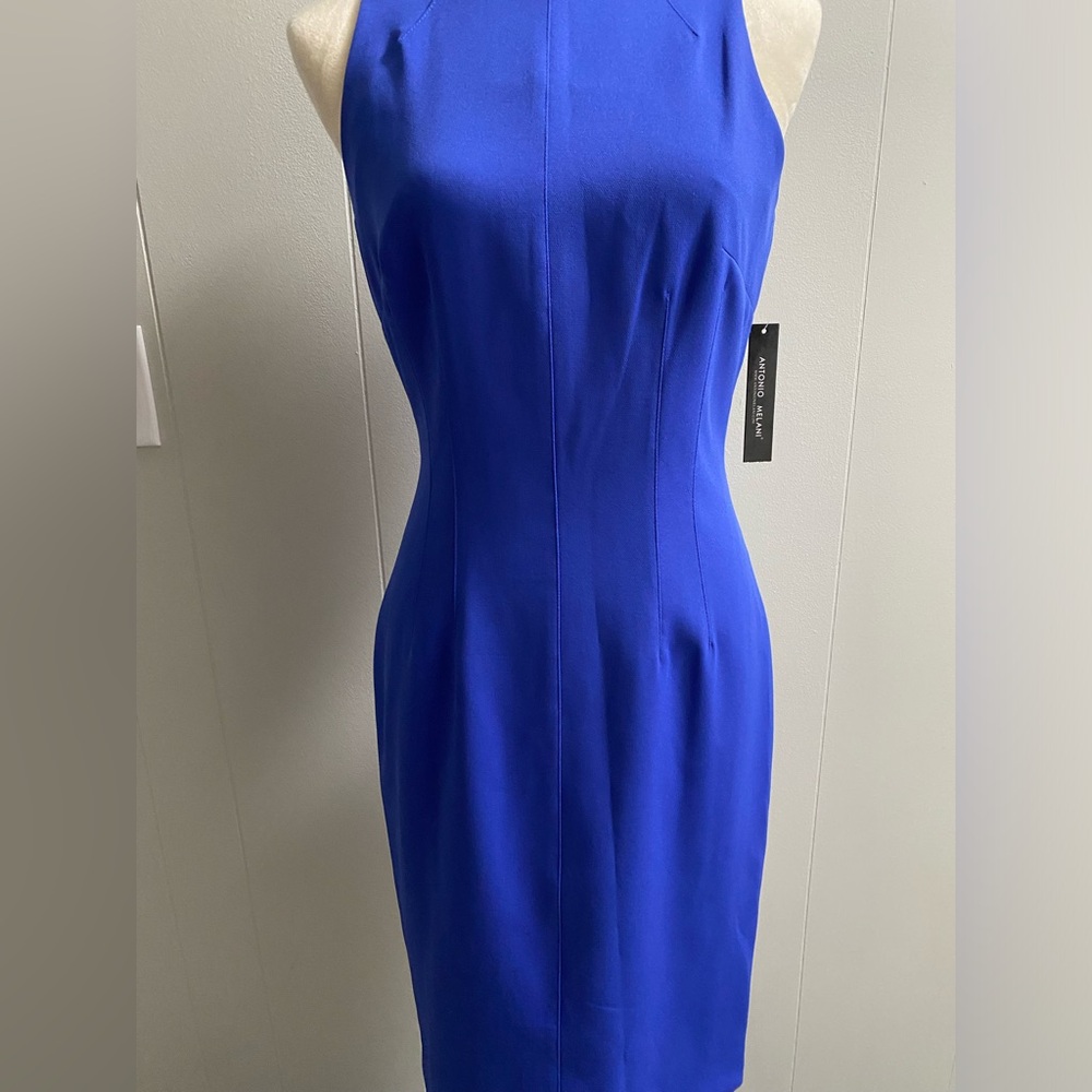 Antonio Melani dress